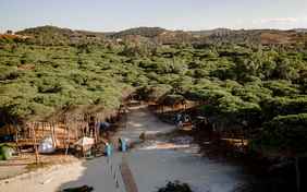 der Pinienwald - Foto: Anita Waszelewski